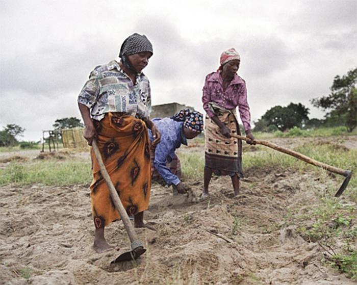 Bäuerinnen in Mosambik bei der Feldarbeit